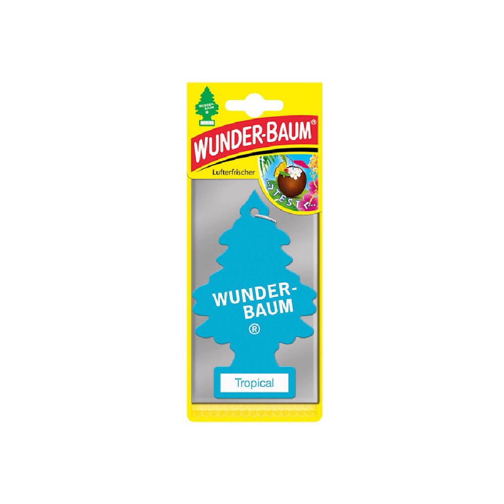 Arbre miracle Petit arbre tropical Image du produit 