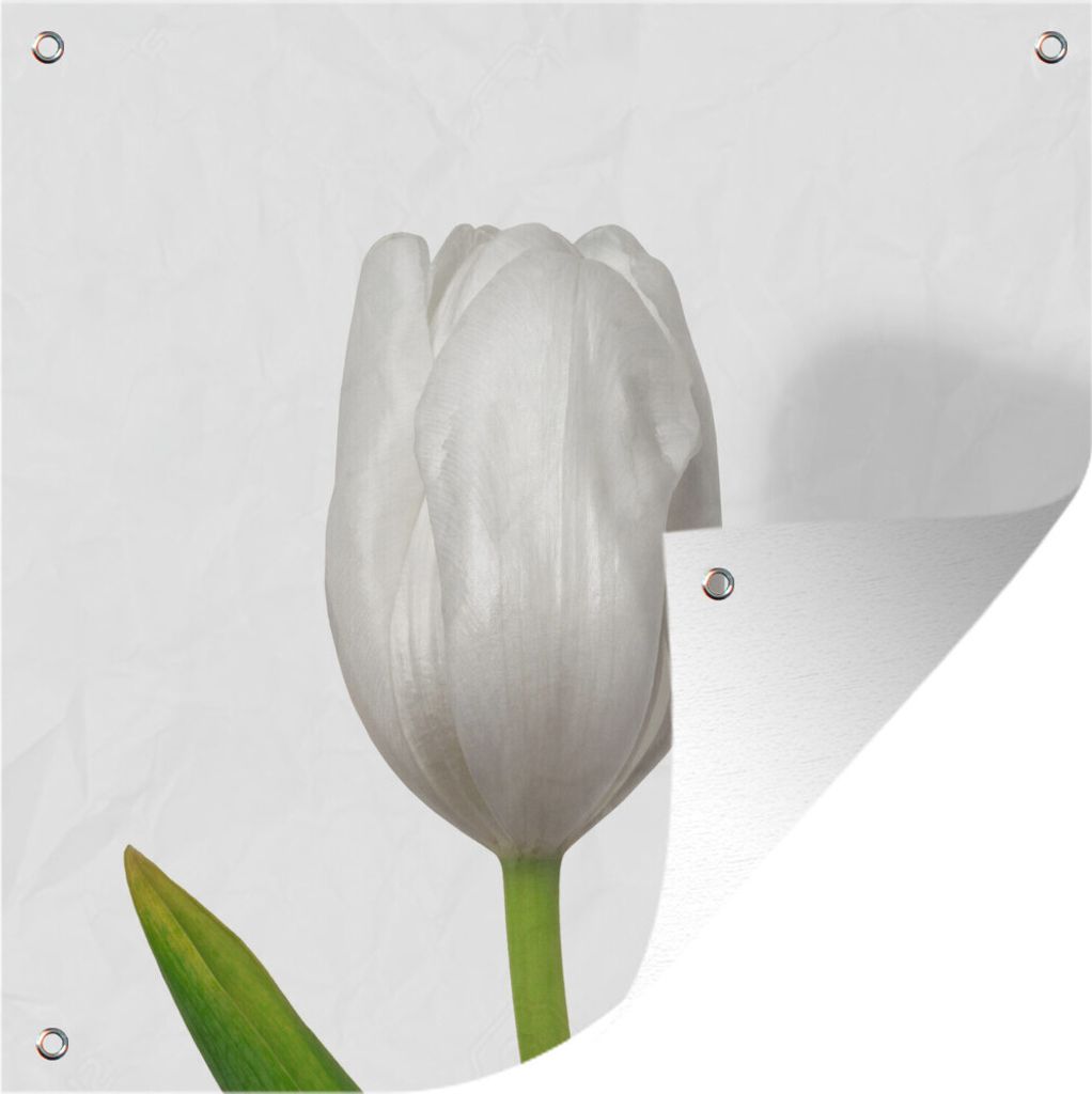 MuchoWow 50x50 cm Outdoor-Poster Gartendeko Sichtschutz Garten Poster für den Garten Nahaufnahme der Blätter einer weißen Tulpe