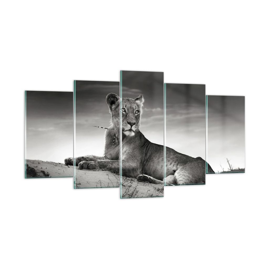 Bilder auf glas - Tierwelt weiblich katze Tier - 160x85cm - Glasbilder - Wandbilder - Kunstdruck - zum Aufhängen bereit - Wanddekoration aus Glas ...