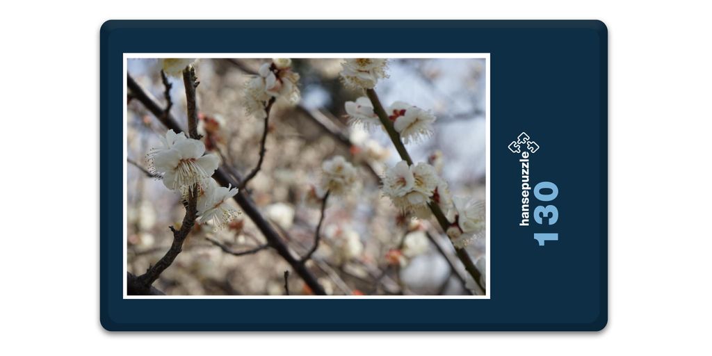 hansepuzzle 17984 - Blüte am Baum Puzzle, 130 Teile, Natur, 28,7 x 20,0cm mit hochwertiger Aufbewahrung, Kartonbox und wiederverschließbarem Beutel