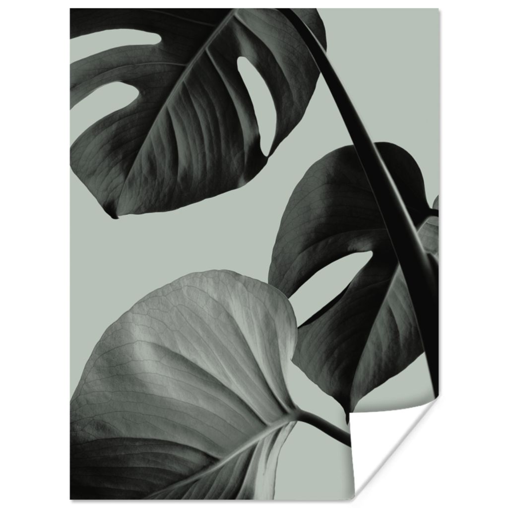 MuchoWow Poster Monstera - Blätter - Grün - Stilleben 30x40 cm - Wandplakat - Poster Kinderzimmer