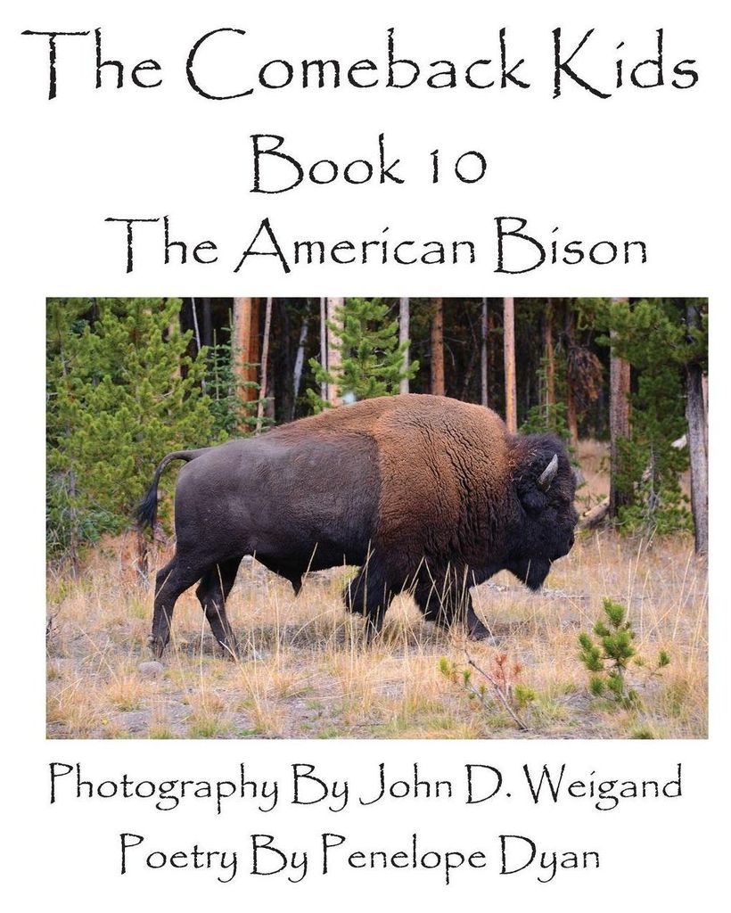The Comeback Kids--Book 10--The American Bison