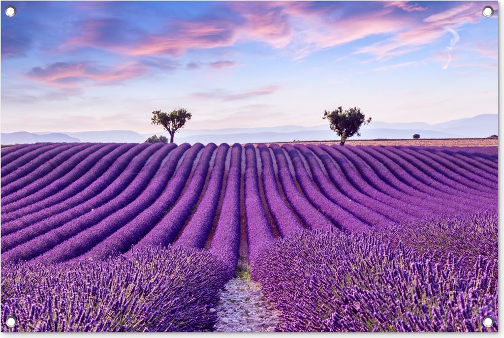 MuchoWow 90x60 cm Outdoor-Poster Gartendeko Sichtschutz Garten Poster für den Garten Lavendel - Natur - Lila - Bäume - Blumen