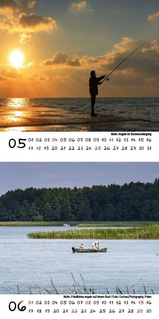 Buchkalender 2026 DIN A5 mit Wochenübersicht | 51026