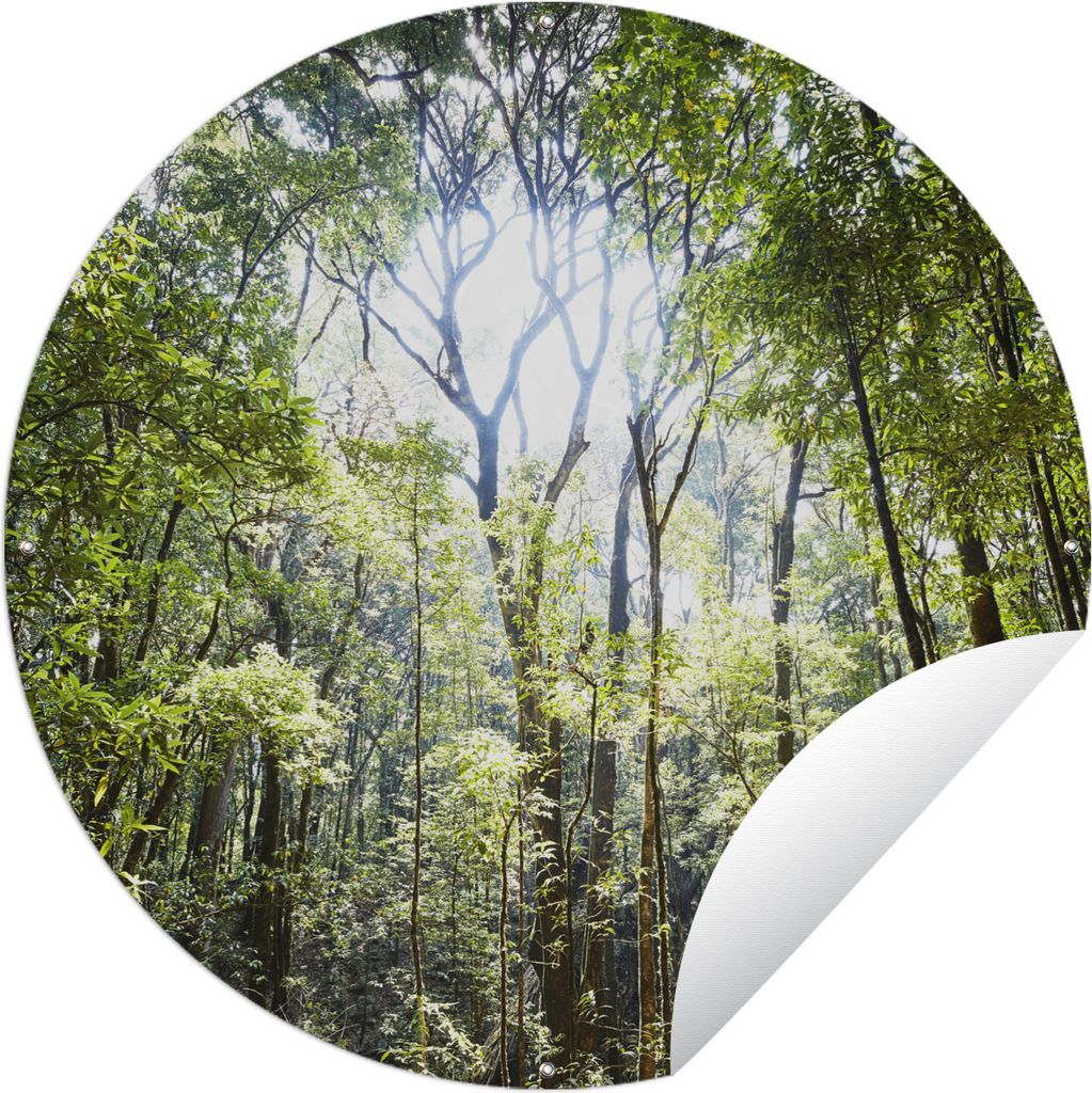 MuchoWow Gartenposter Outdoor-Poster Rund Die Sonne scheint durch eine Öffnung im Regenwald in Thailand Ø 60 cm Gartendeko Rundes Poster draußen