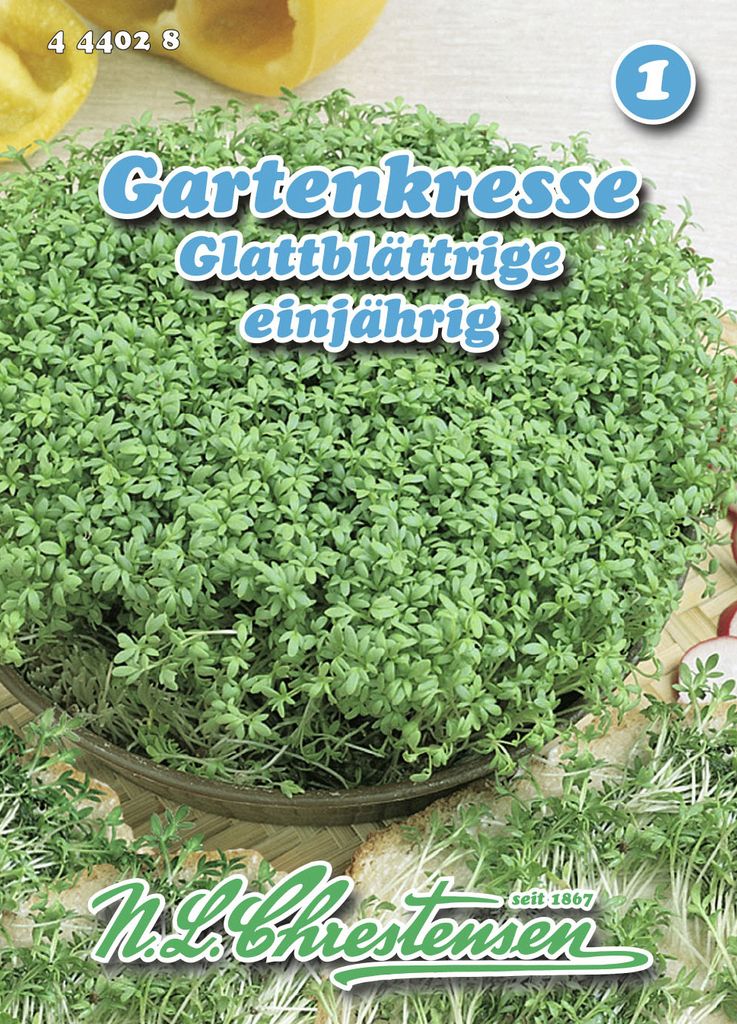 Gartenkresse Glattblättrige | Kressesamen von N.L. Chrestensen