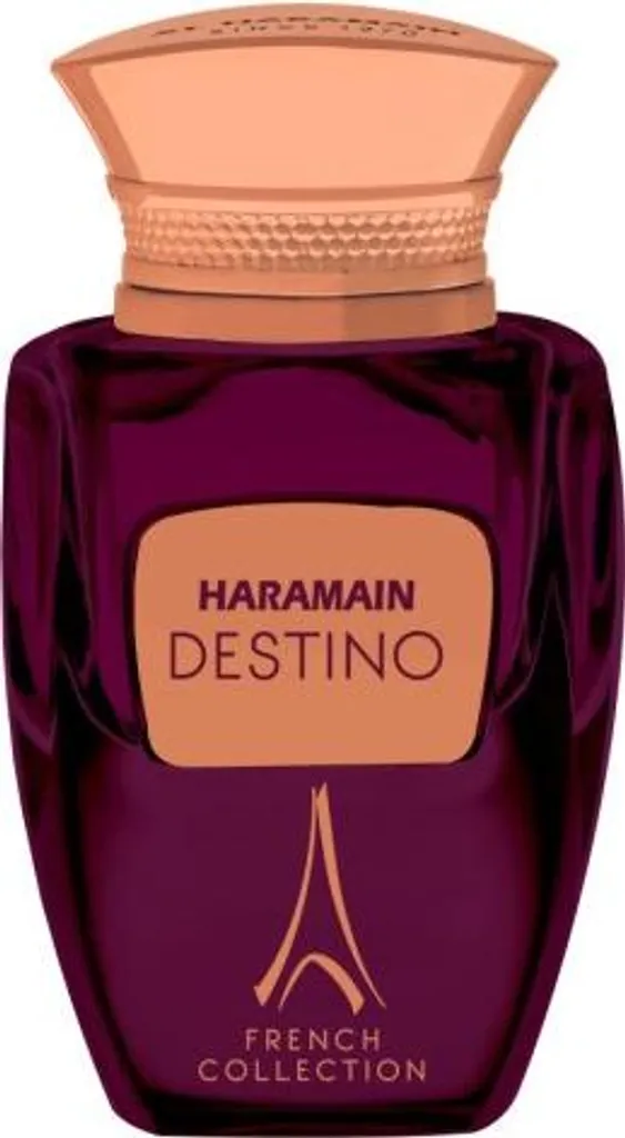 Destino French Collection Eau de Parfum 100 ml - Parfum Intense Homme