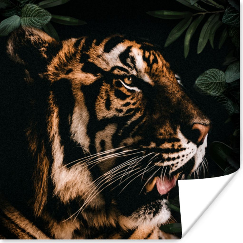 MuchoWow Poster Tiger - Blätter - Tier 100x100 cm - Babyzimmer