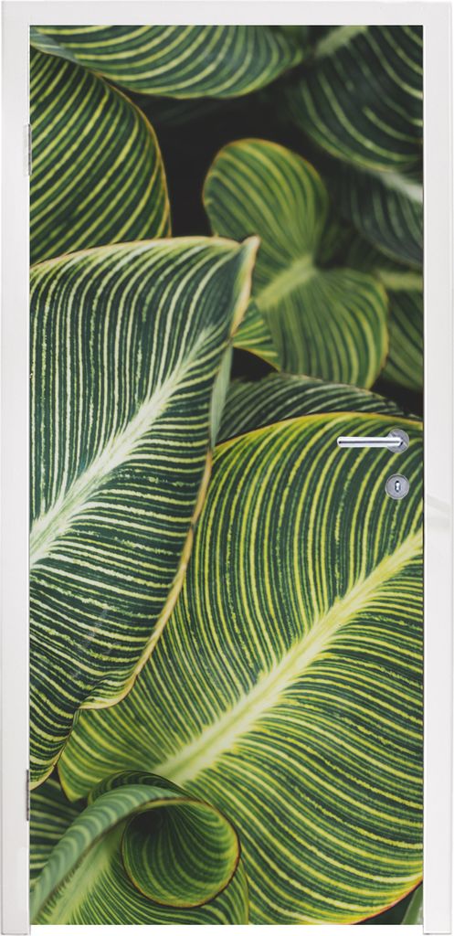 MuchoWow Türtapete Selbstklebende Türfolie Blätter - Pflanze - Weiß 80x215 cm Türposter Türaufkleber Klebefolie Türklebefolie - Selbstkleb...