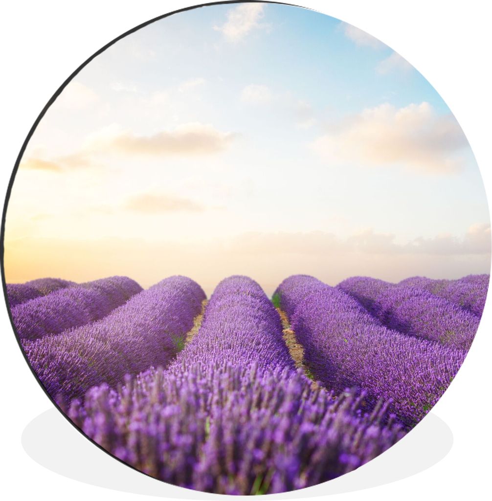 MuchoWow Aluminium Wandkreis Lavendel - Himmel - Wolken - Blumen Ø 90 cm Wanddeko Modern Wohnzimmer - Mauerkreis - Wandbilder - Runde Bild - Bil...