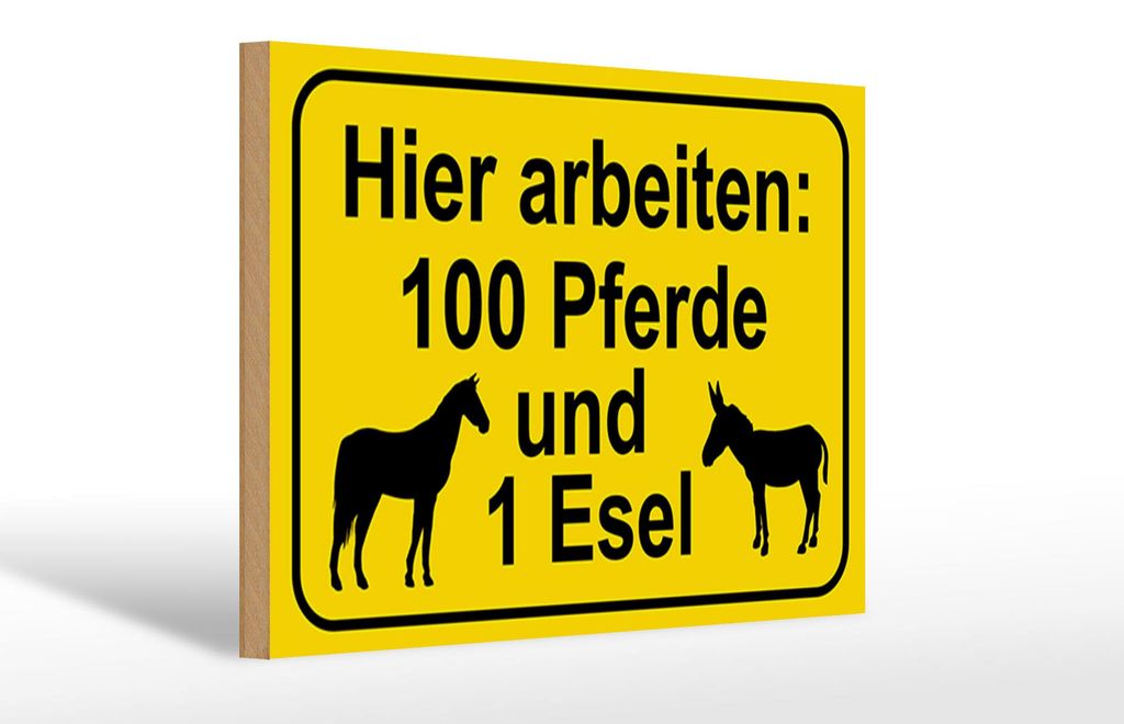 Holzschild arbeiten 100 Pferde und 1 Esel, 30 x 20 cm, Holzschilder Pferdefreund Pony