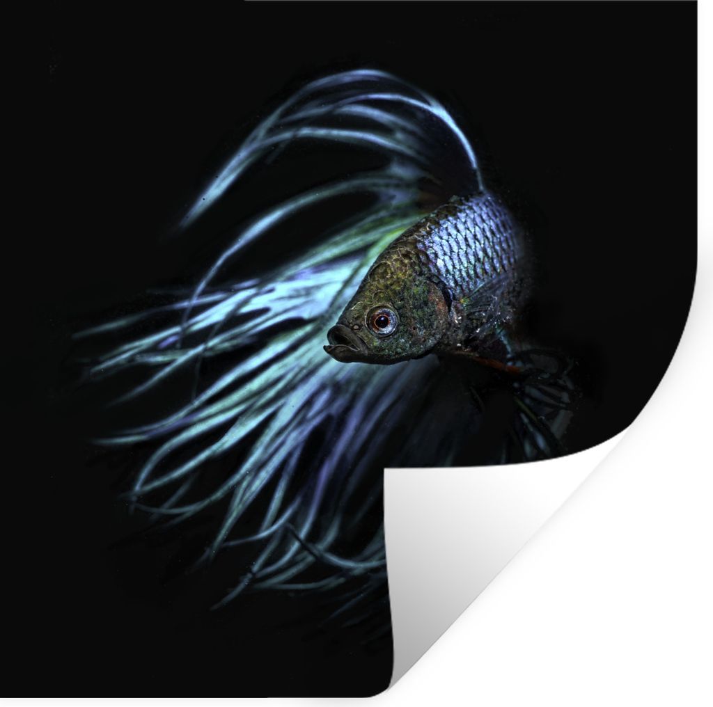 MuchoWow Wandtattoo Wandsticker Wandaufkleber Fische - Meerestiere - Blau - Schwarz 50x50 cm Selbstklebend und Repositionierbar