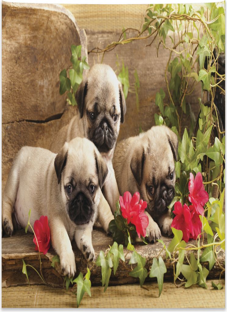 Abakuhaus Mops Wandteppich, Geschwister-Welpen-Blumen aus Weiches Mikrofaser Stoff Kein Verblassen Klare Farben Waschbar, 110 x 150 cm, Farngrün G...