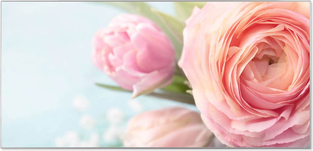 Stahl Magnettafel Querformat 37x78cm Rosa Tulpe