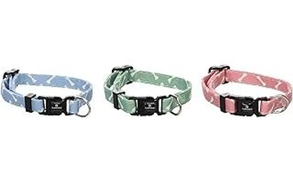 Collare Cuccioli Flamingo Sari Multicolore 10mm x 25cm | Shop Pet