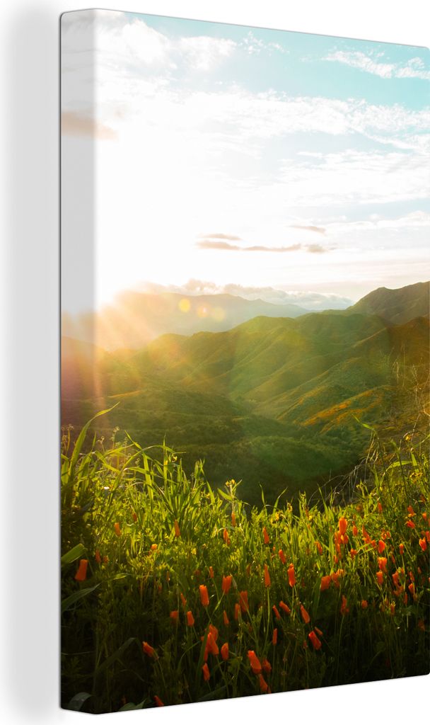 OneMillionCanvasses - Leinwandbilder - 90x140 cm, Hügel - Sonnenuntergang - Gras - Grün, Wandbilder Kunstdruck Wanddekoration - Foto auf Leinwa...