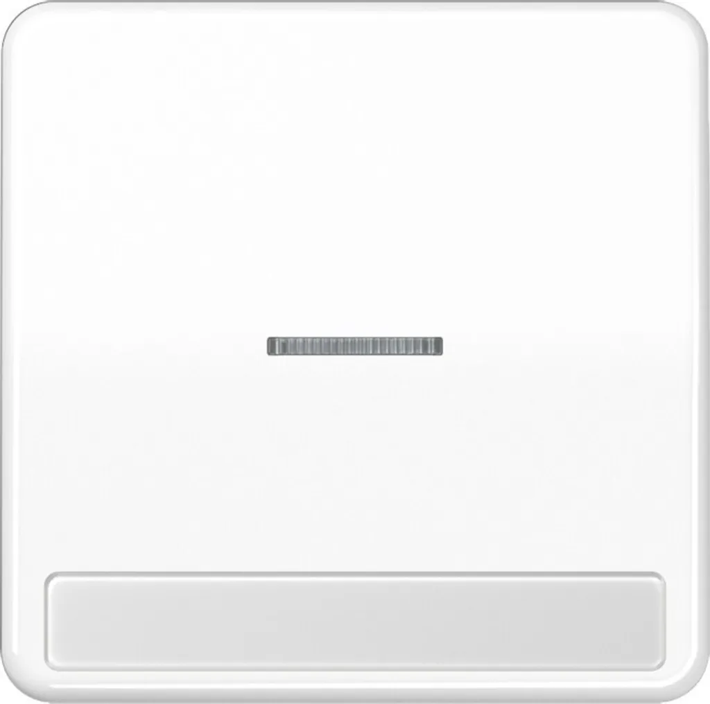 Remplacer bascule interrupteur Jung CD 590 blanc alpin CD590NAKO5WW
