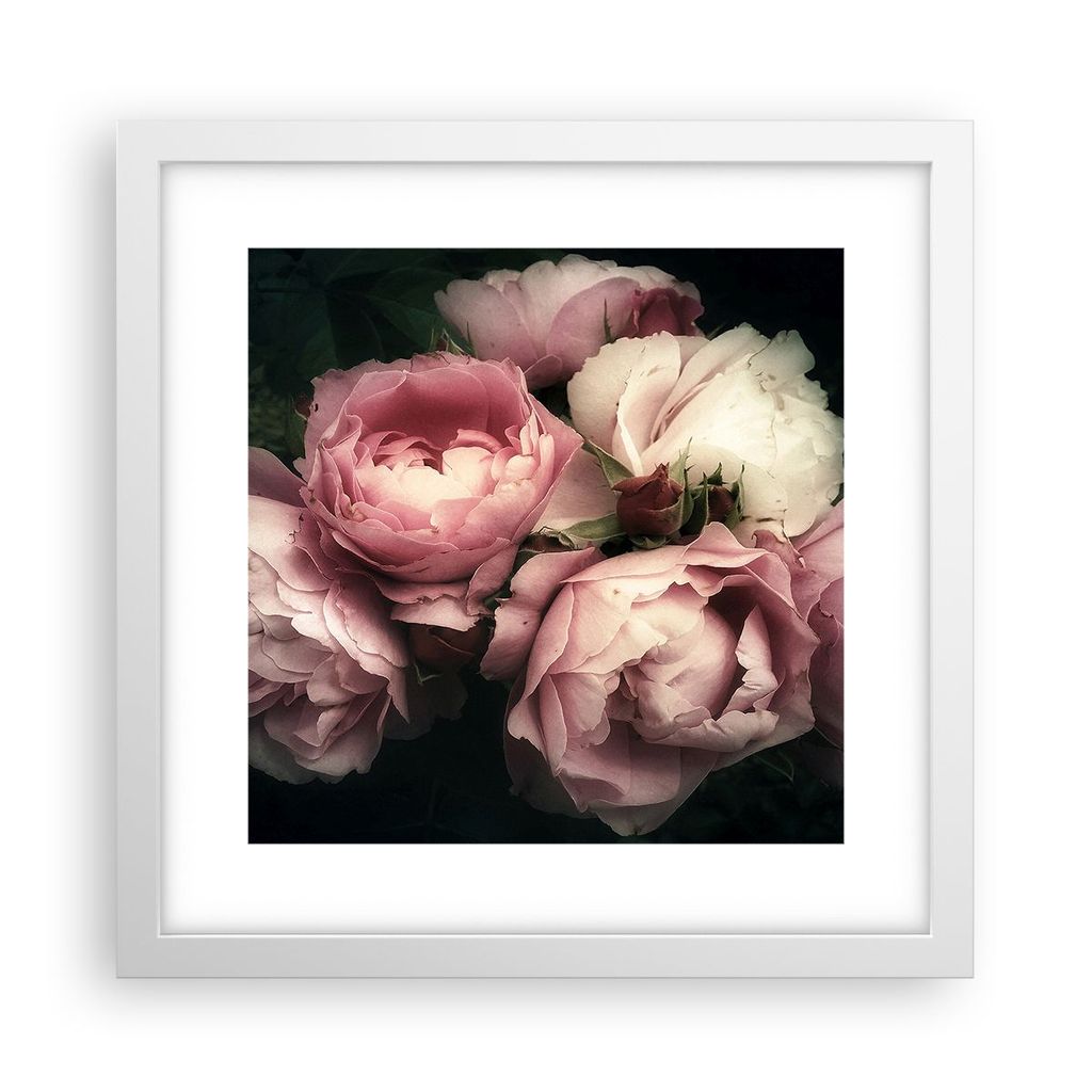 Gerahmtes Poster - Weißer Rahmen - Pfingstrose Blume - 30x30 cm - Wand Bild - Wanddeko - Wandbilder - Kunstposter - Wandposter - Bilderrahmen - Bi...