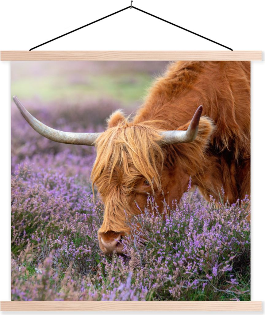 MuchoWow Textilposter Schottisches Hochlandrind - Tiere - Heide 40x40 cm mit holzfarbenen Rahmen - Posterleiste