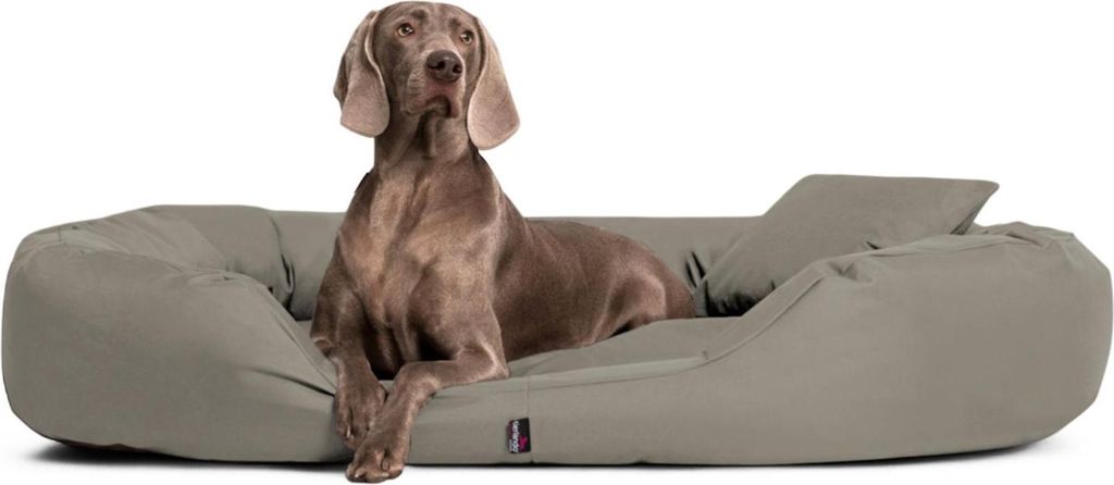 tierlando® Orthopädisches Hundebett SAMMY | Robuster Produktbild 