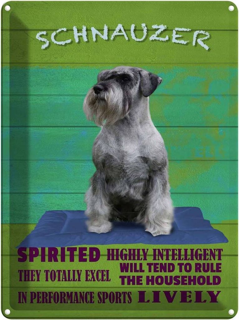 vianmo Blechschild 40x30 cm Schnauzer Hund highly inelligent
