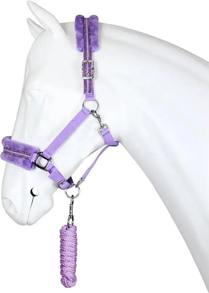Set Licou Adapté Shetland et Longe - Résout les Problèmes de Taille