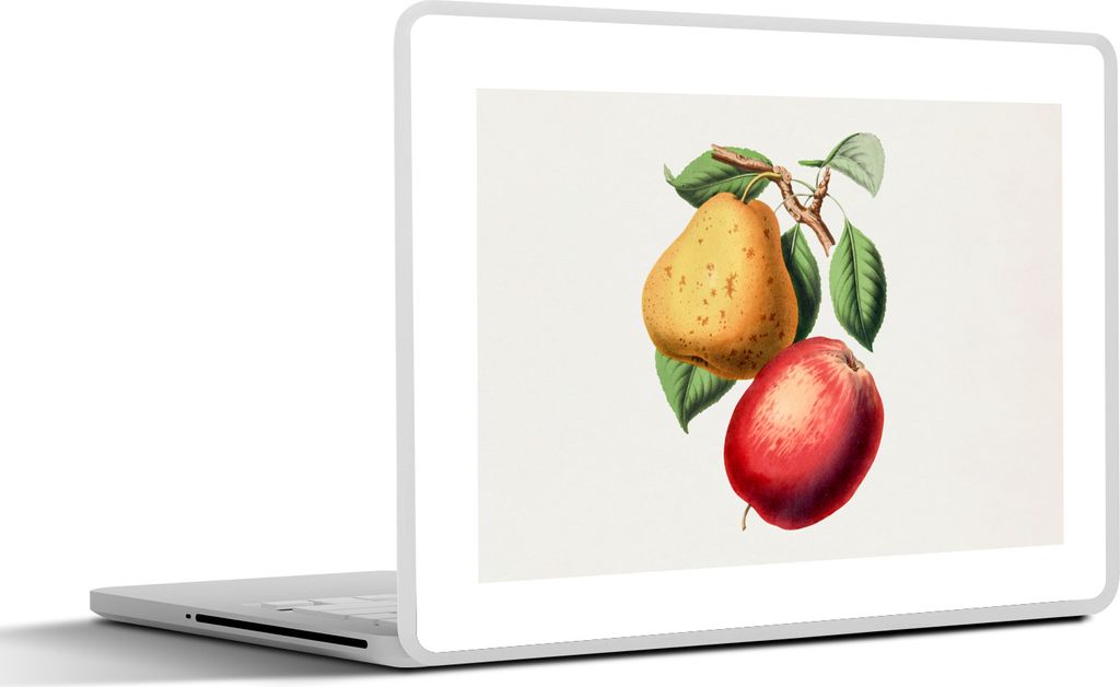 MuchoWow Laptop Aufkleber Sticker Cover Apfel - Birne - Obst 30x22 cm - Laptop-Sticker