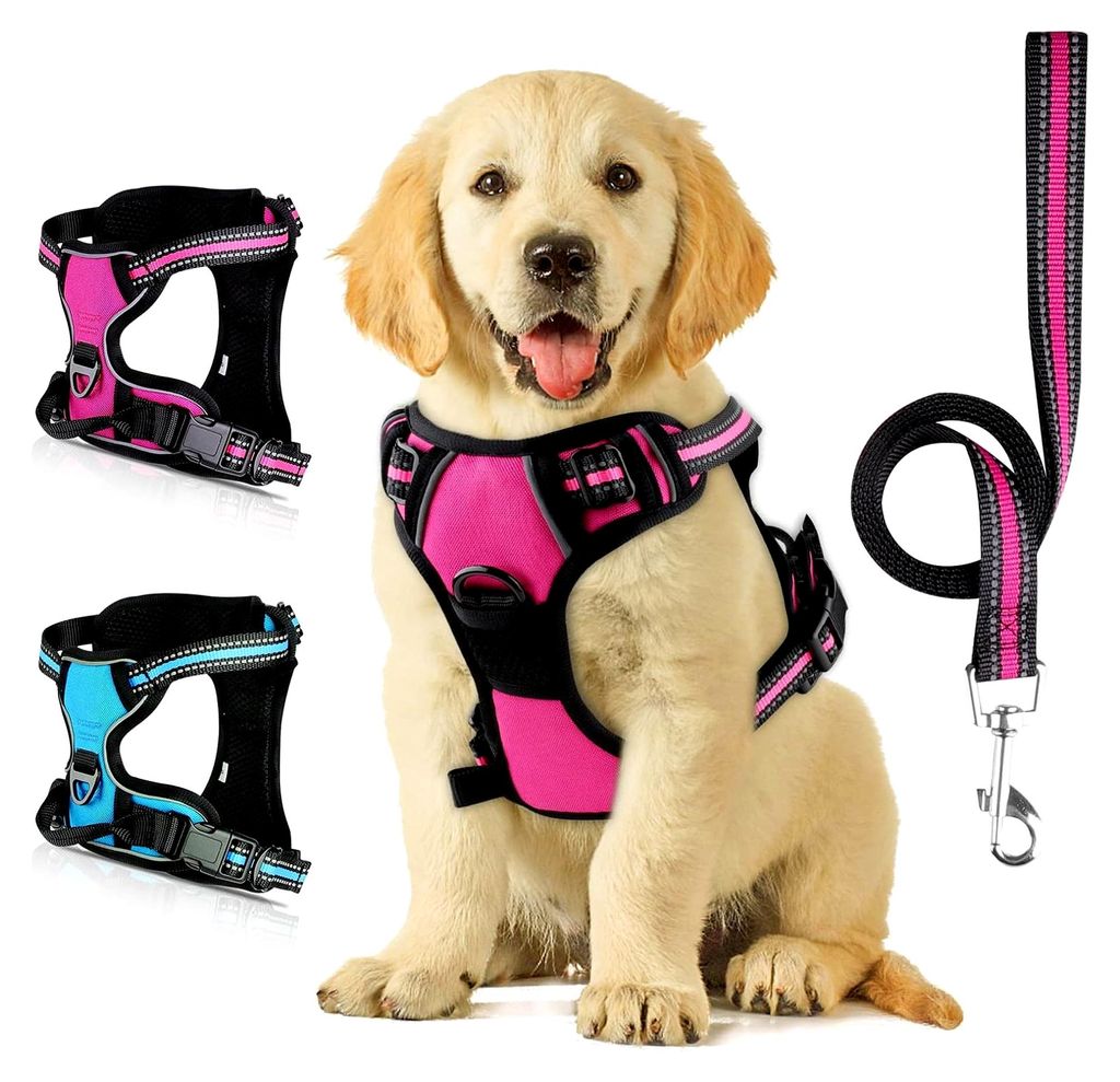 Hundegeschirr mit Leine, Reflektierendes Geschirr für Kleine Hunde, mit Einfachem Kontrollgriff und Rückseite, Ideal für Spaziergänge im Freien...
