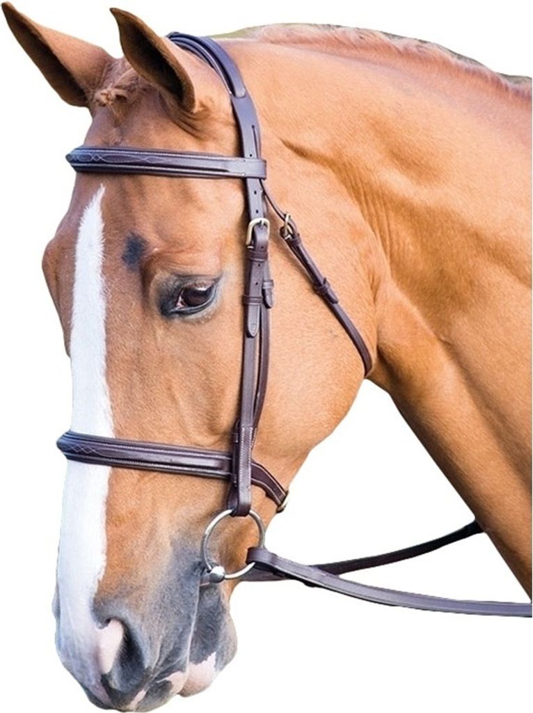 Salisbury - Zaumzeug Fairford, Leder ER562 (Cob) (Dunkelbraun)