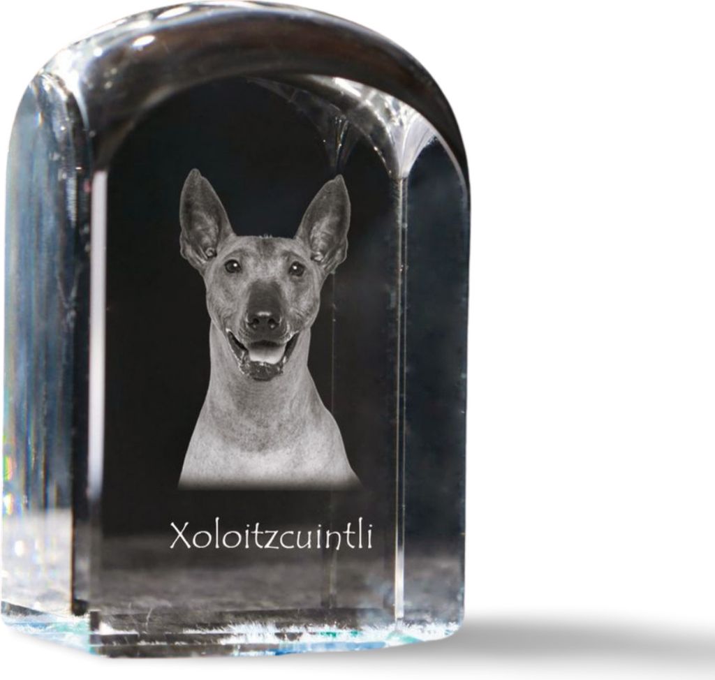 Mexikanischer Nackthund, Xoloitzcuintle, Xolo, Tepeizeuintli - Kristallwürfel mit Bild, Hundebild im Kristall, sechseckiger Papierclip von Art-Dog.