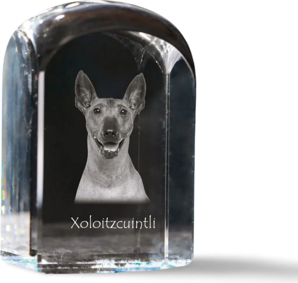 Memoriale Cane Xoloitzcuintle in Cristallo | Art-Dog 3D Fotografia
