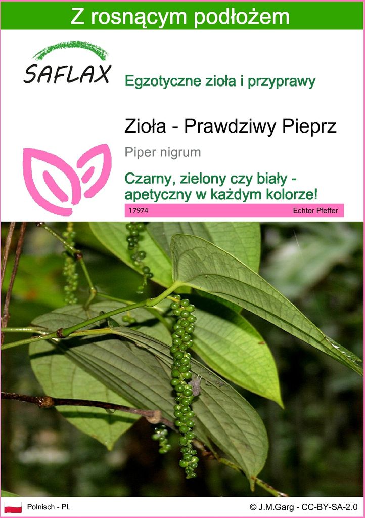SAFLAX - Zioła - Prawdziwy Pieprz - 20 Nasiona - Z podłożem Zdjęcie produktu 