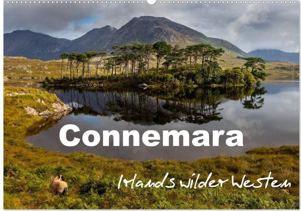 Connemara - Irlands wilder Westen (Wandkalender 2026 DIN A2 quer), CALVENDO Monatskalender