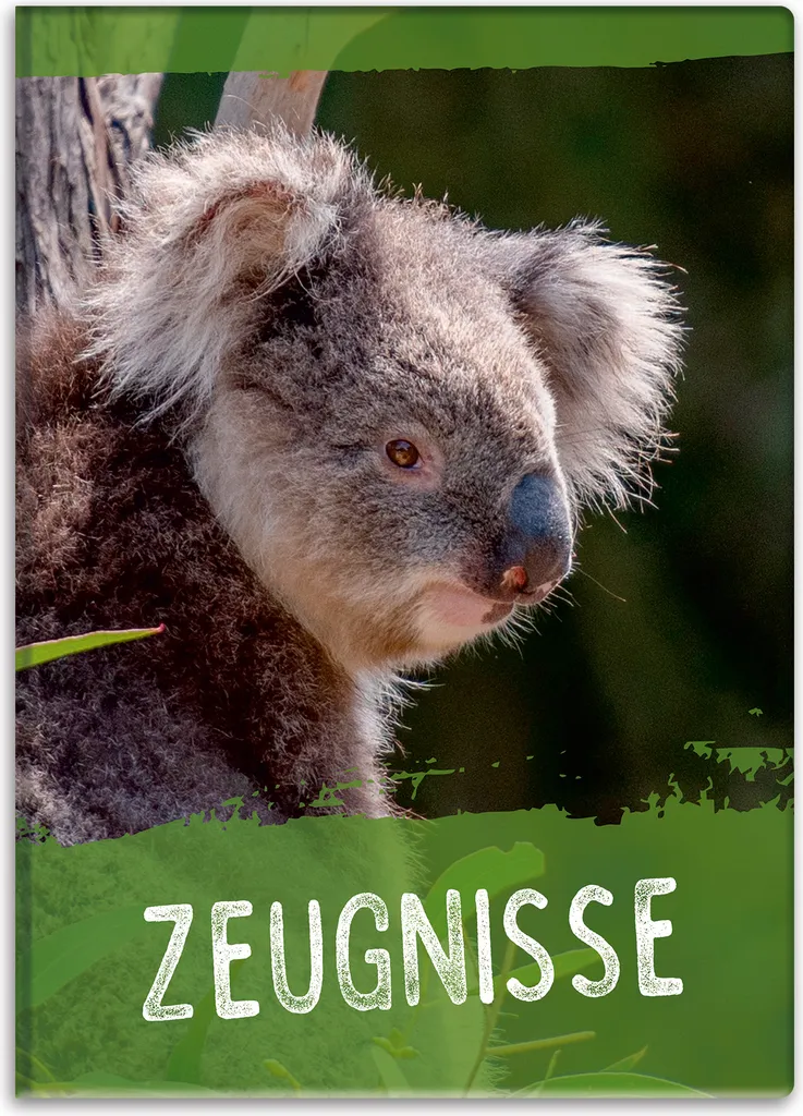 Porte-diplômes Itenga motif Koala A4 avec une couverture rembourrée