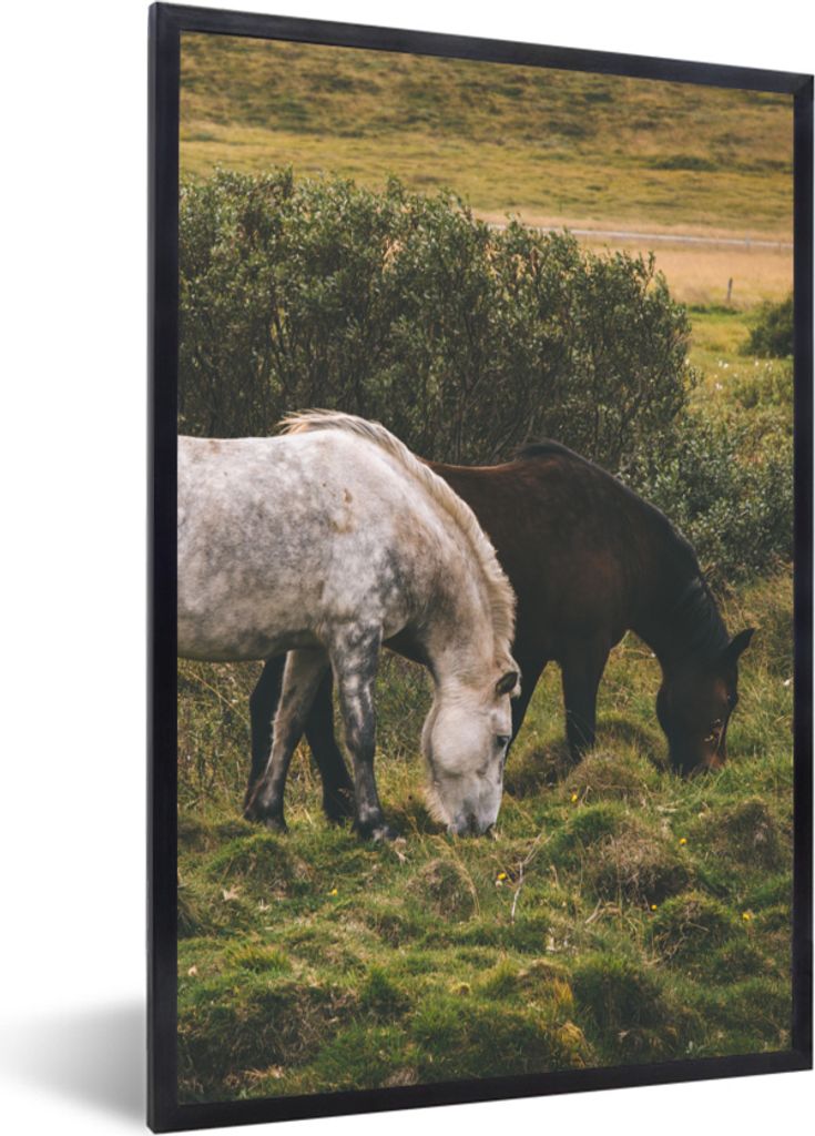 MuchoWow MuchoWow Gerahmtes Poster Pferde - Schwarz - Island 20x30 cm - Poster mit zchwarzem Bilderrahmen - Drucken - Bilder Poster im Rahmen