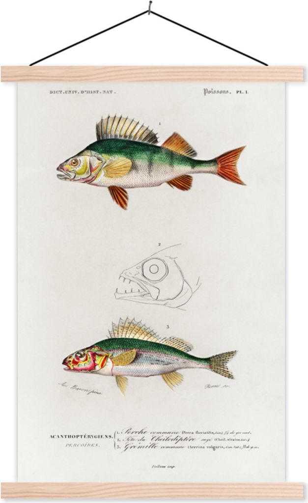 MuchoWow Textilposter Fisch - Jahrgang - Realismus 60x90 cm mit holzfarbenen Rahmen - Textil