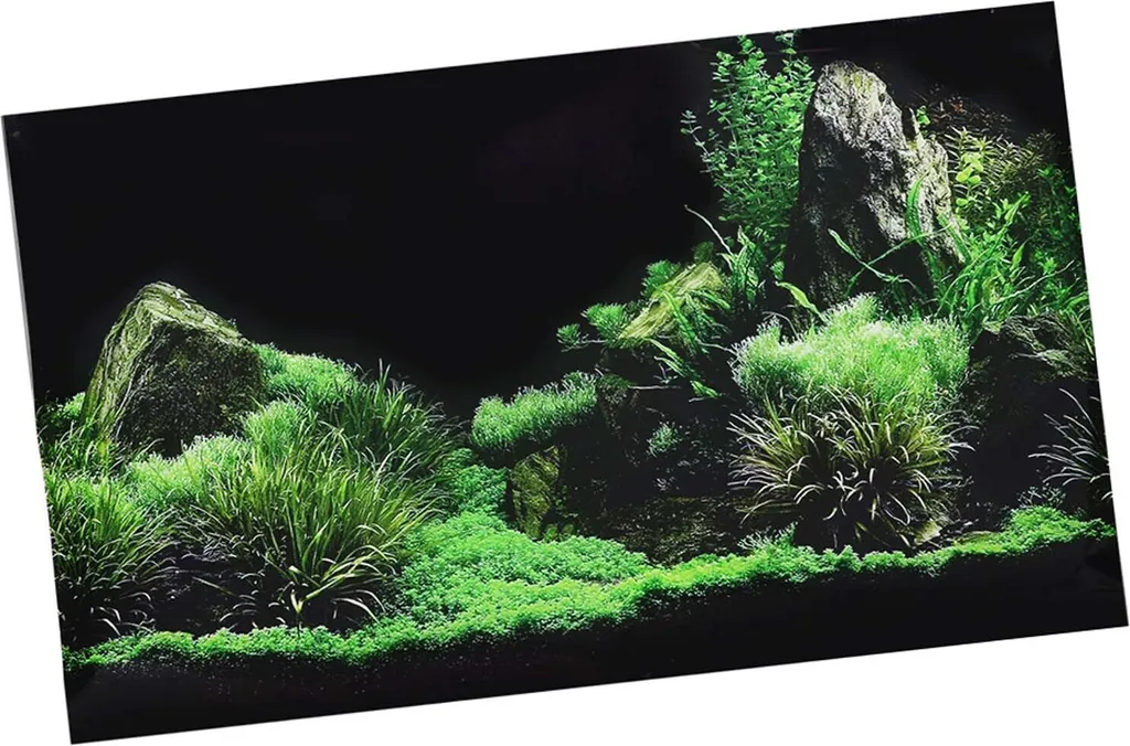 Poster Aquarium Décoration Fond de Mer Herbe Eau PVC en 61 x 40 cm
