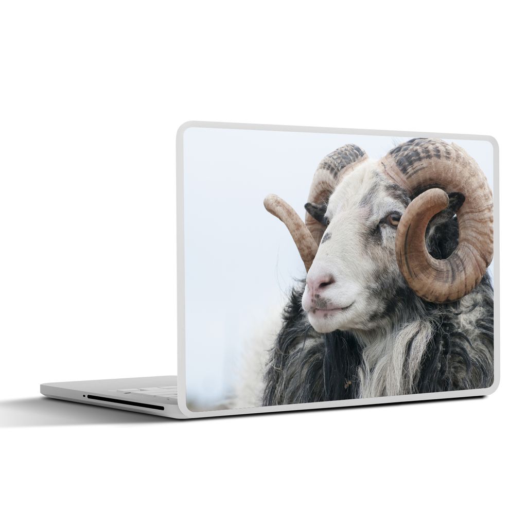 MuchoWow Laptop Aufkleber Sticker Cover Schafe - Horn - Tiere 40x30 cm - Laptop Dekoration - Selbstklebend