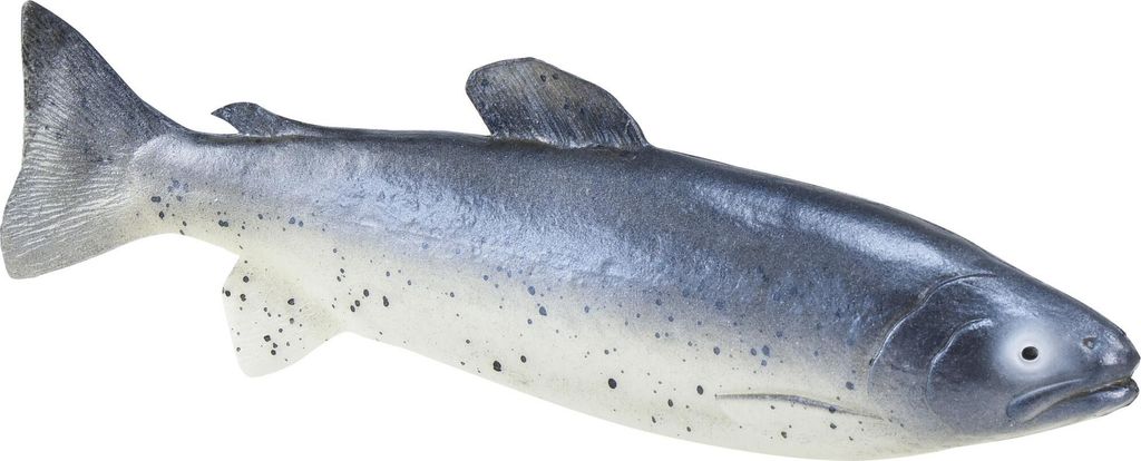 Künstlicher Deko-Fisch 31cm - Täuschend Echte Forelle Lebensmittelattrappe für Schaufenster und Dekoration