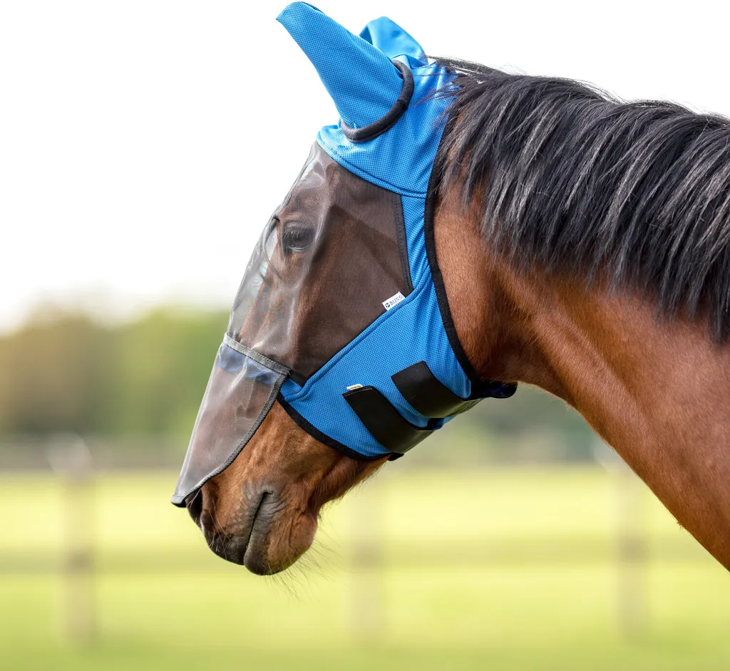 Recensione Busse Fly Guard II Plus: La Migliore Maschera 2026