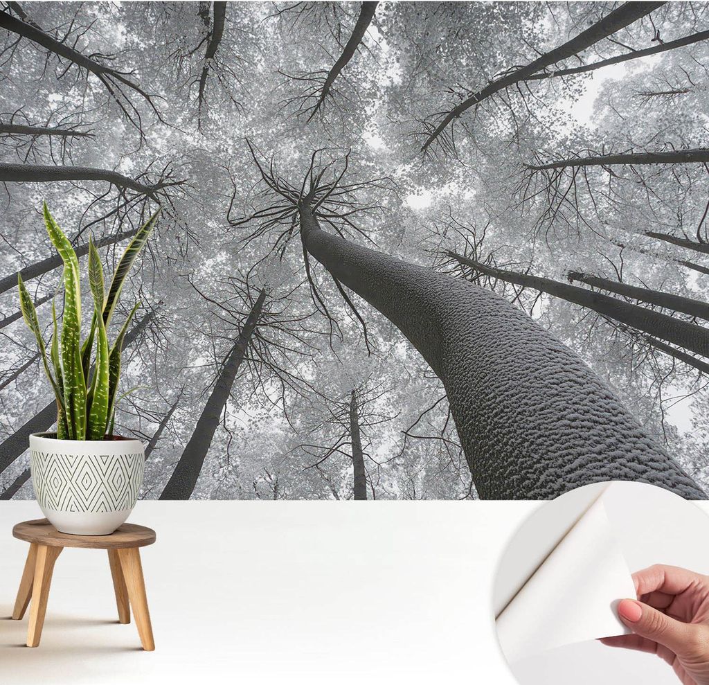 Fototapete selbstklebend - 208x146 cm - Tapete - Wandtapete - Wandbilder - Klebefolie - Dekofolie - Tapete Folie - Wand - Dekoration - Wohnzimmer -...