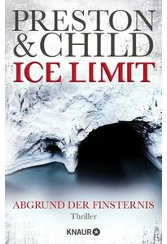 Ice Limit Machine à Glaçons Inox – Machine à Glace Rapide et Performante