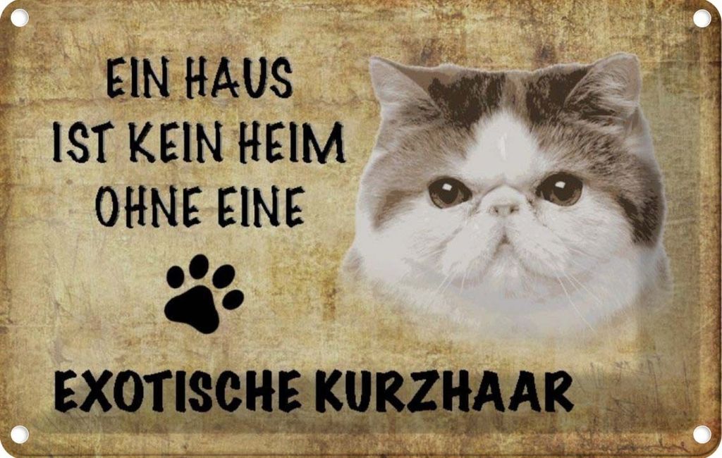 vianmo Blechschild 12x18 cm exotische Kurzhaar Katze Tier Haustier
