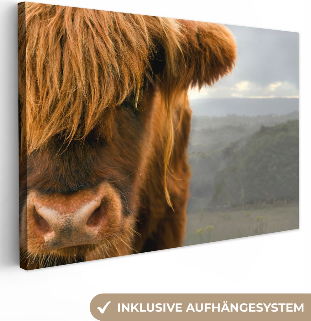 OneMillionCanvasses - Leinwandbilder - 140x90 cm, Schottisches Hochlandrind - Orange - Nase, Wandbilder Kunstdruck Wanddekoration