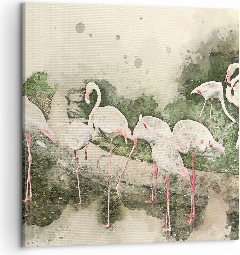 Bild auf Leinwand - Leinwandbild - Flamingo Vogel Wasser - 50x50cm - Wand Bild - Wanddeko - Leinwanddruck - Bilder - Kunstdruck - Wanddekoration - ...