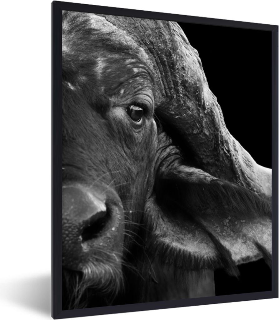 MuchoWow Gerahmtes Poster Büffel - Tiere - Schwarz - Weiß 30x40 cm - Poster mit Schwarzem Bilderrahmen Wandposter Rahmen Foto Bilder - Wanddeko...