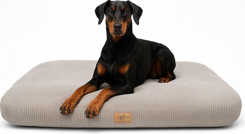 Lit orthopédique pour chien Coussin pour chien Canapé pour Image du produit 