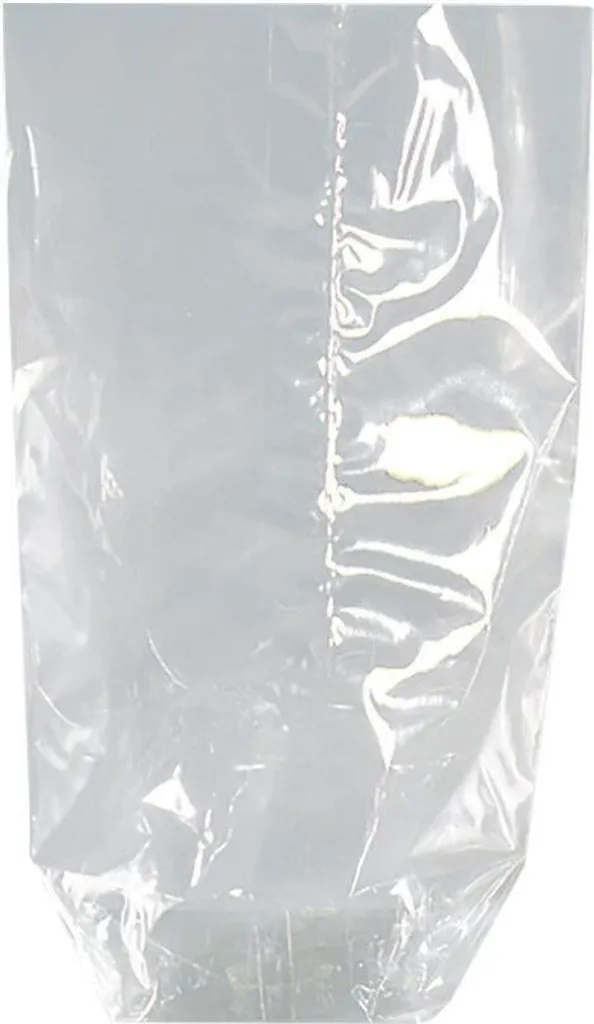 Pochettes Cadeaux Transparentes 18x30cm Folia - Lot de 10 Sachets de Luxe