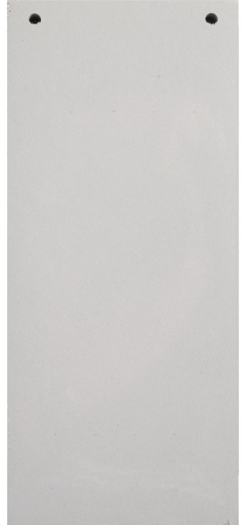 Exacompta 12x 100 Trennstreifen 2-fach gelocht RC Kart 105x240mm Grau 13485B