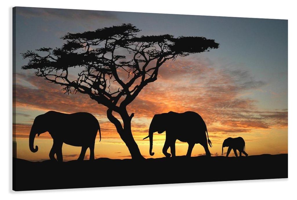 5066 Afrika Elefanten Leinwandbild 120x80 cm